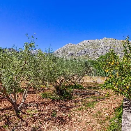 Beautiful In The Countryside Near By Renthousing Villa Pollenca